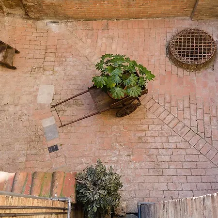 Casatorre Dei Leoni Dimora Storica 3* Σιένα